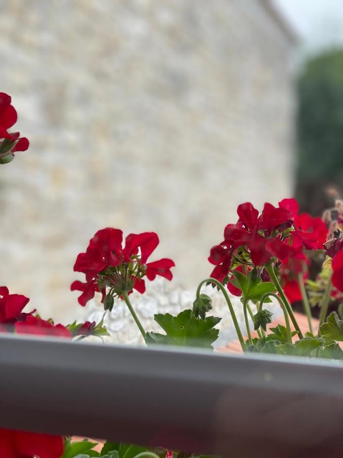 Bed and Breakfast Le Vieux Moulin Bouhet Экстерьер фото